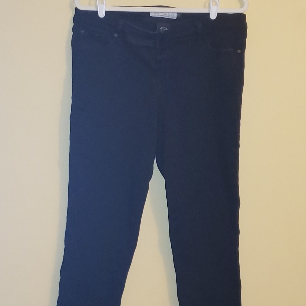 Torrid Denim Size 16 Skinny Stretch Pants